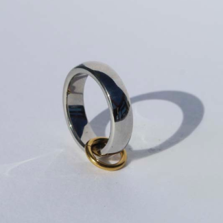 Stainless steel ring with gold plated detail.