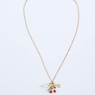 Gold plated stainless steel necklace with summerish charms